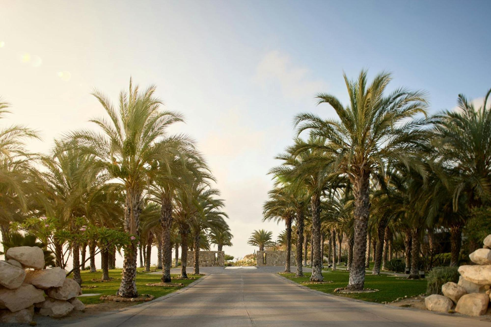 Zadun, A Ritz-Carlton Reserve San José del Cabo Buitenkant foto